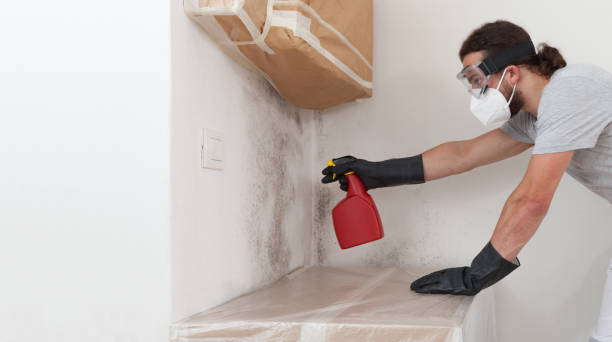 Professional Bathroom Mold Removal technician working in North Bend, OR