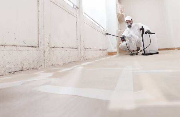 24/7 Emergency Bathroom Mold Removal experts in North Bend, OR
